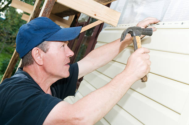 Best Custom Trim and Detailing for Siding  in North East, MD