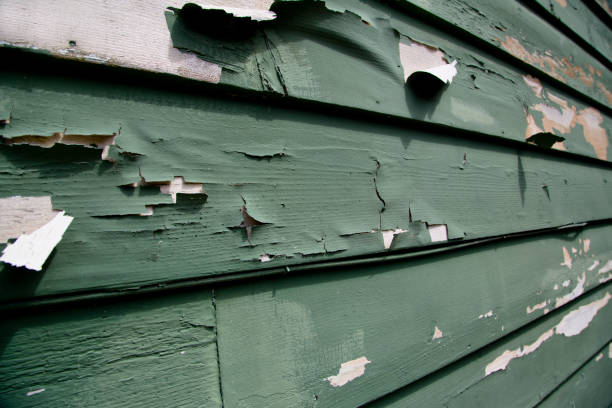 Best Historical Building Siding Restoration  in North East, MD