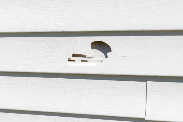 Best Siding Removal and Disposal  in North East, MD