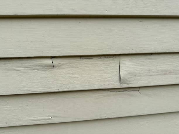 Best Custom Siding Design  in North East, MD